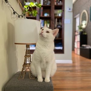 Meet your Posher, Brianna